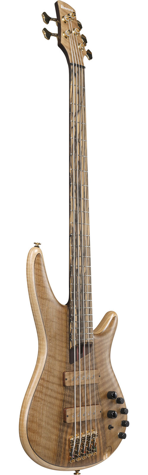 IV1SR Ibanez VISIONS