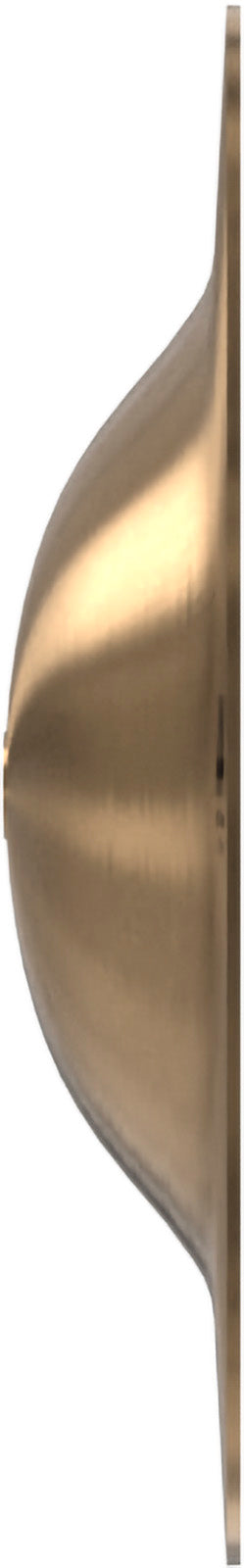 AA MAX Campana 6,5"
