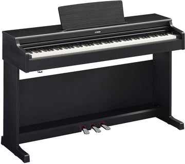 Arius YDP-165 Schwarz