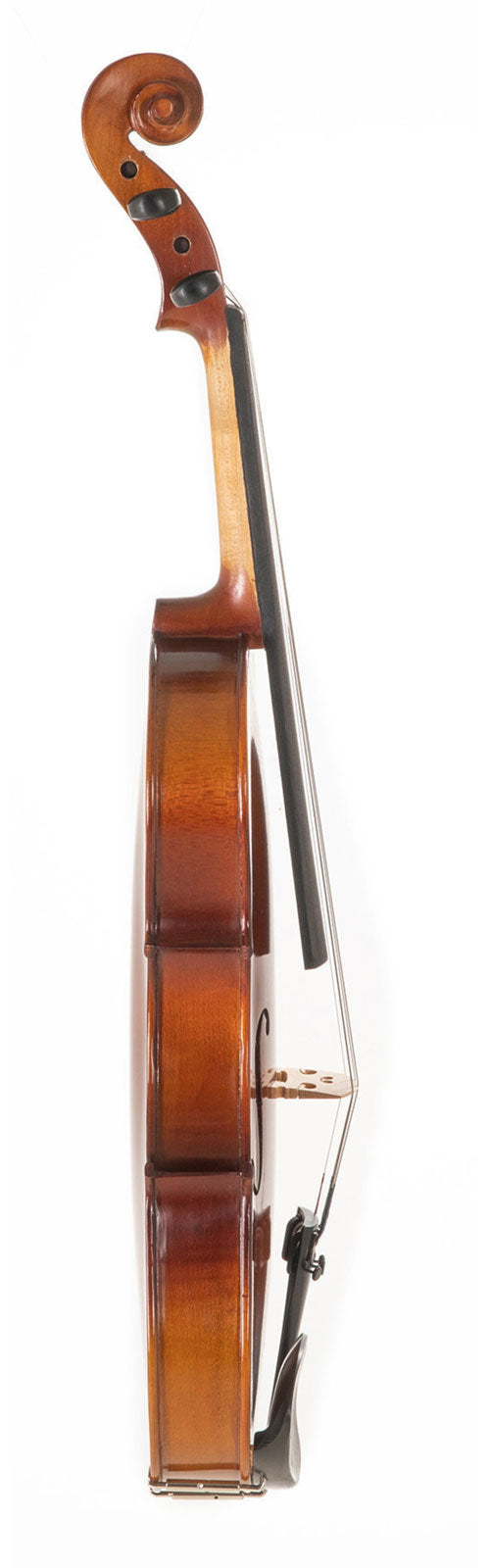 Pure HW Alto - 42" (archet Massaranduba)