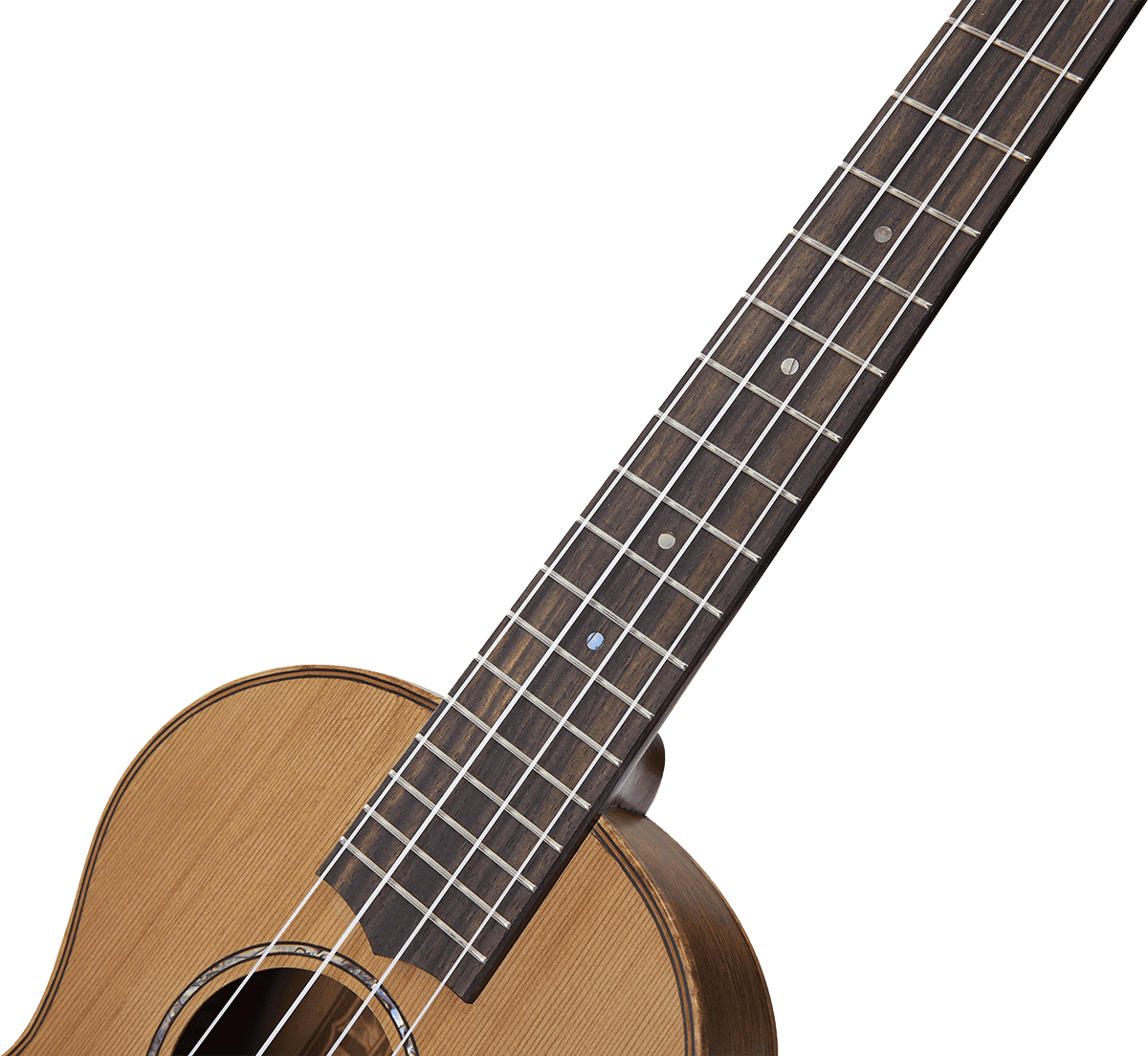 Naturbelassener Tenor + Tasche