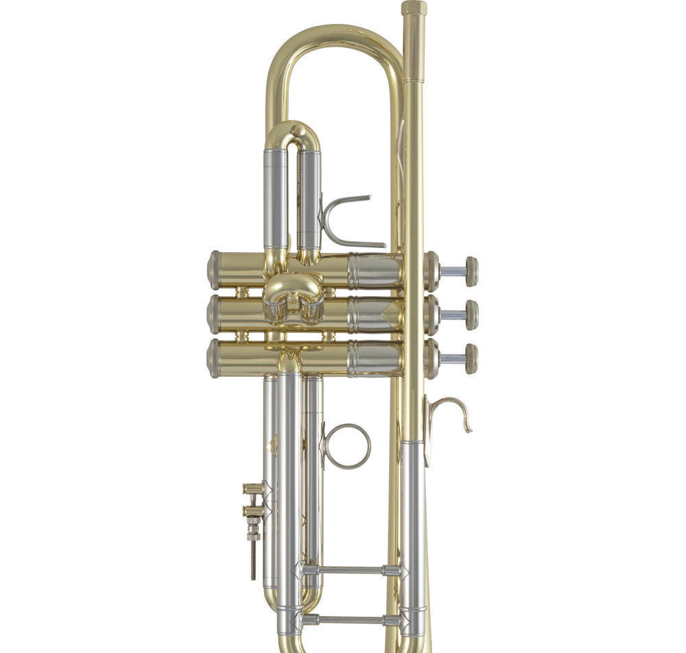 19043 Stradivarius - Sib Vernie
