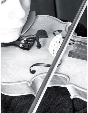 VL21C Lanen Violino - Viola