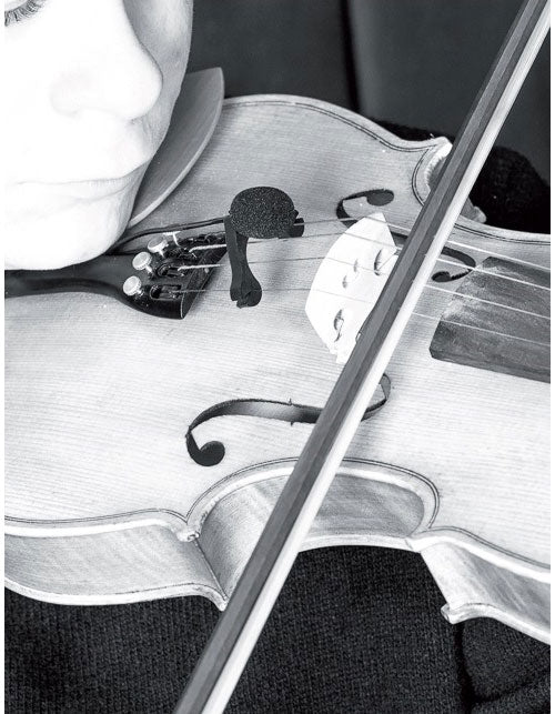 VL21C Lanen Violino - Viola