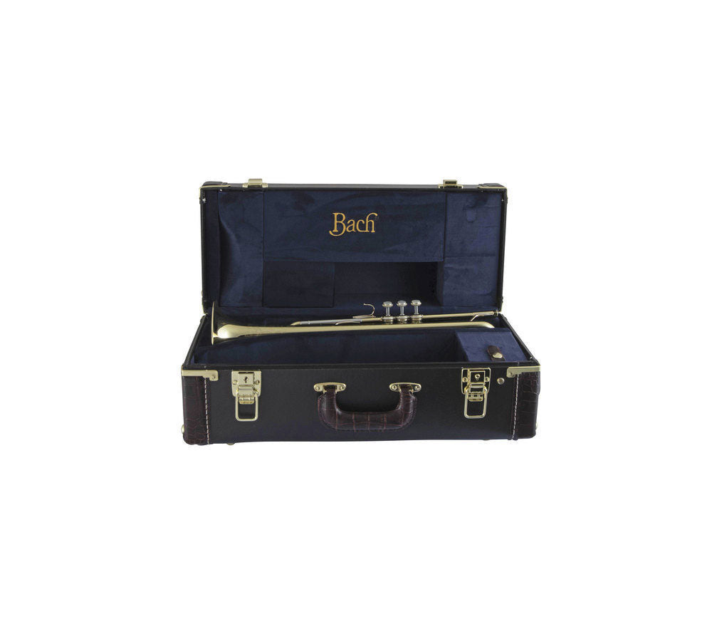 19043 Stradivarius - Sib Vernie