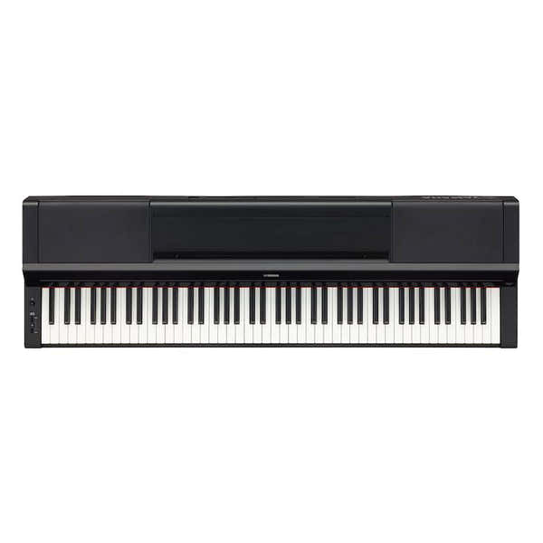 P-S500 schwarz