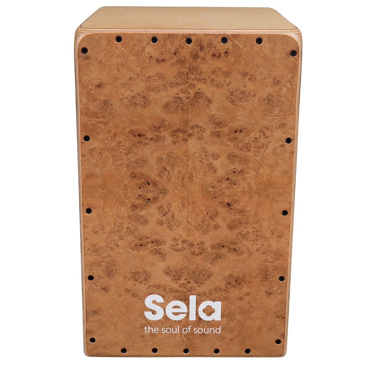 Iconic Cajon - Oak Roots
