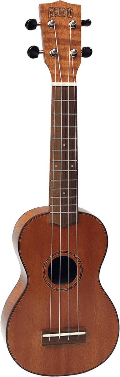 Acajou Massif Soprano + Housse