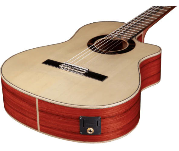 Conservatoire Green Sustain GSC CW E8 + Housse 9738