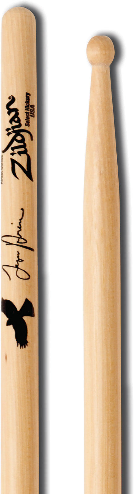 ASTH - Taylor Hawkins Signature
