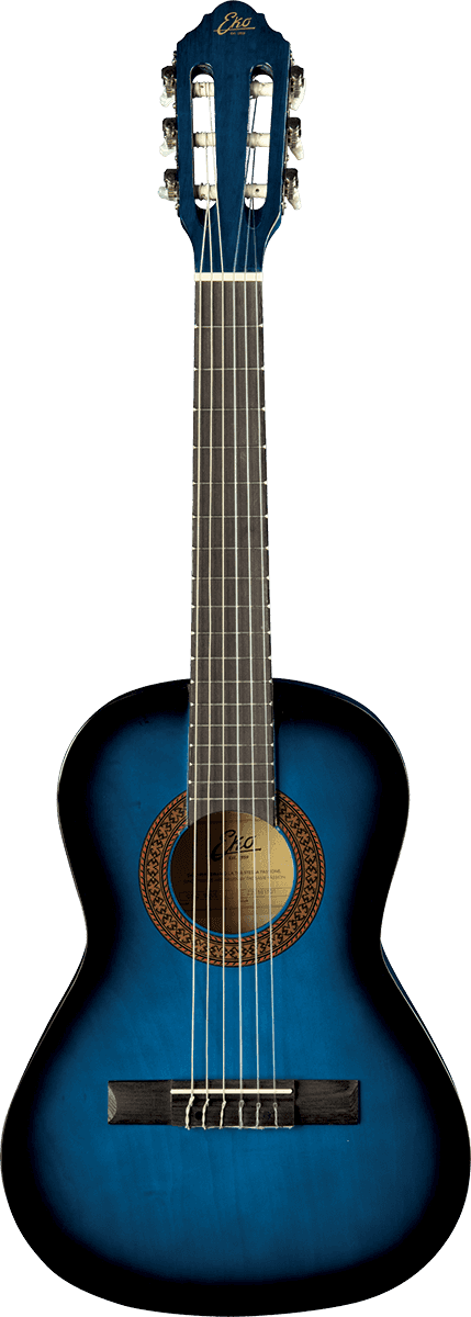 CS-2 1/2 Blue Burst + Housse