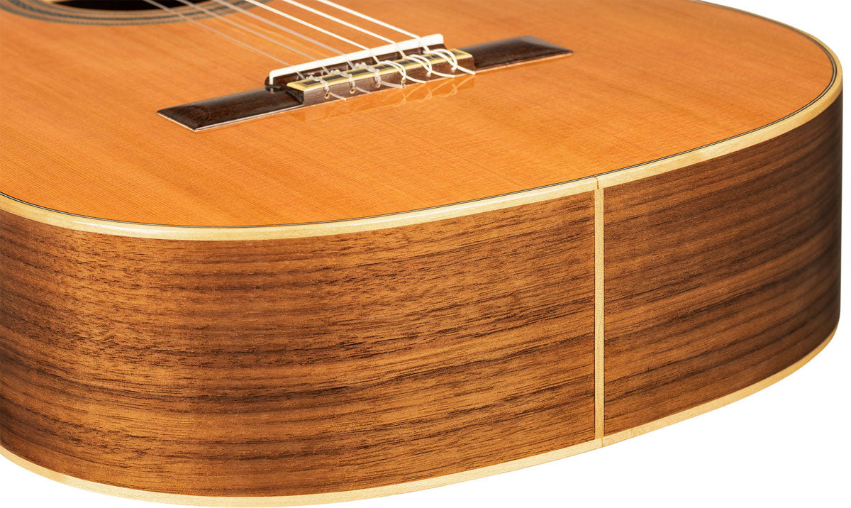 Traditional 4/4 6 LH + Pro Gig Bag