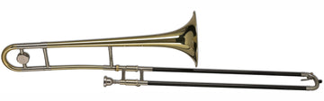 Ambition TB501L Sib Vernie