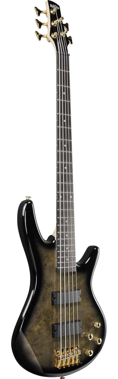 GSR205PCTPB Transparent Pale Black Burst
