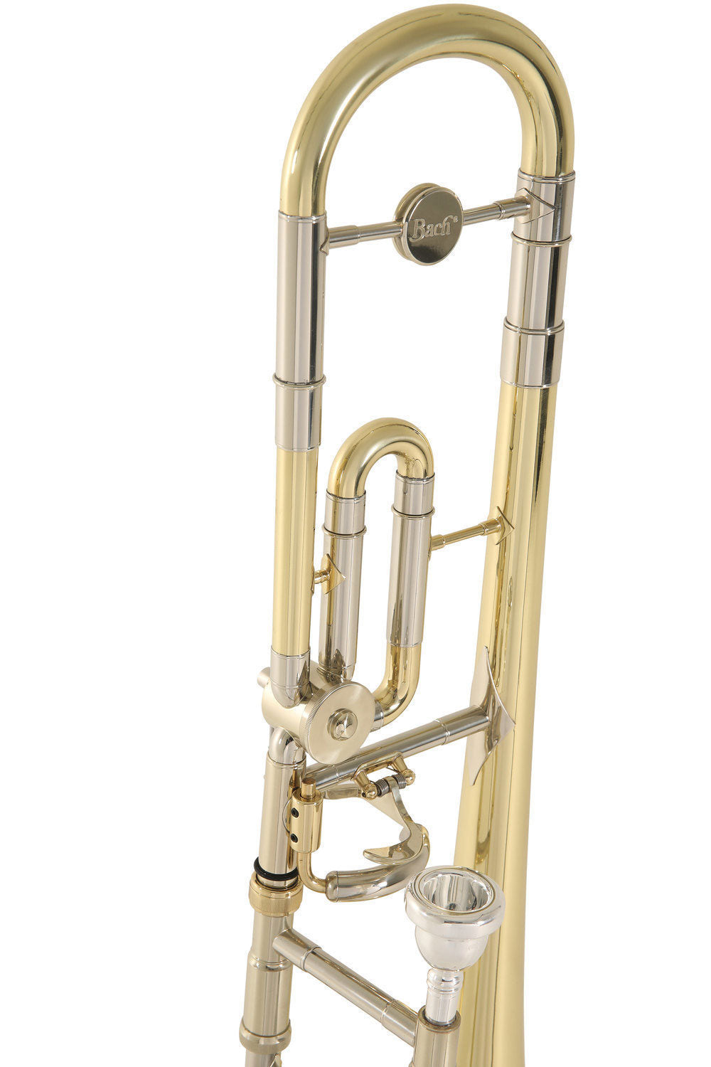 Ambition TB65 Tenore Sib/Do Laccato (Bambini)