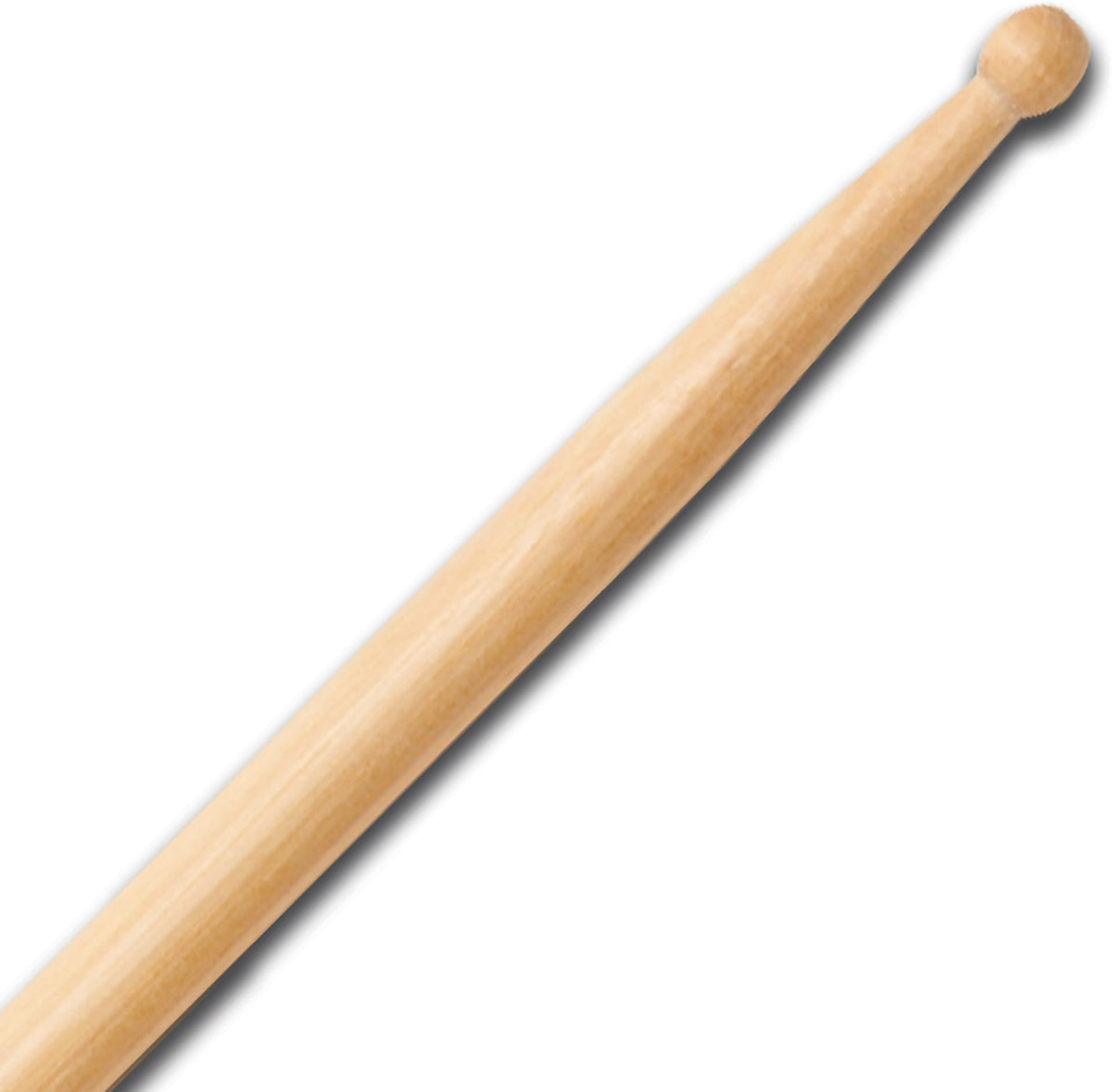 ASTH - Taylor Hawkins Signature