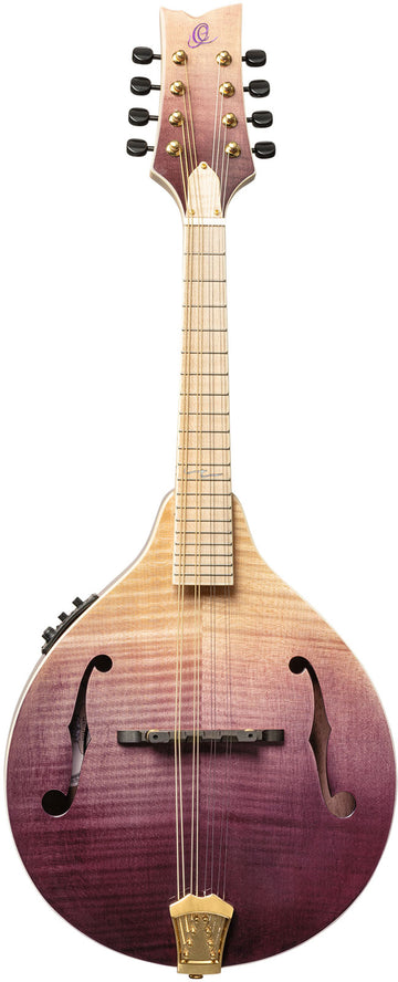 Americana A-Style-Mandoline + Croco-Lederkoffer