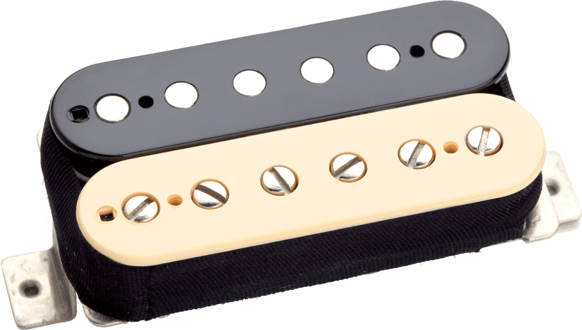 APH-1b-z - Alnico II Pro HB Chevalet Zebra