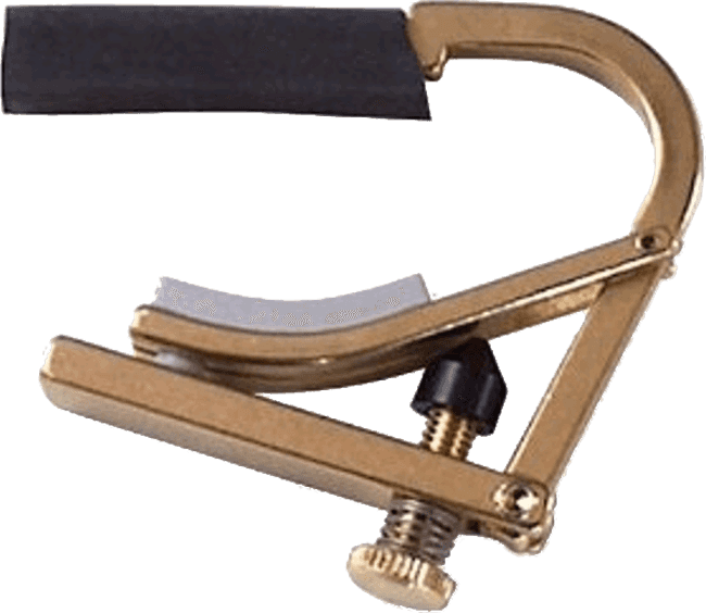 Shubb CAPODASTRES ORIGINAL PARTIAL DROP DROP D