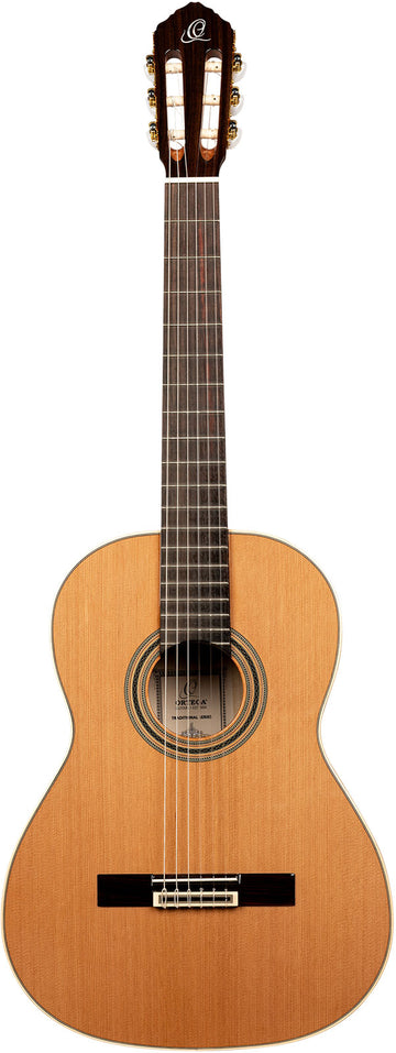 Traditional 4/4 + custodia morbida Pro