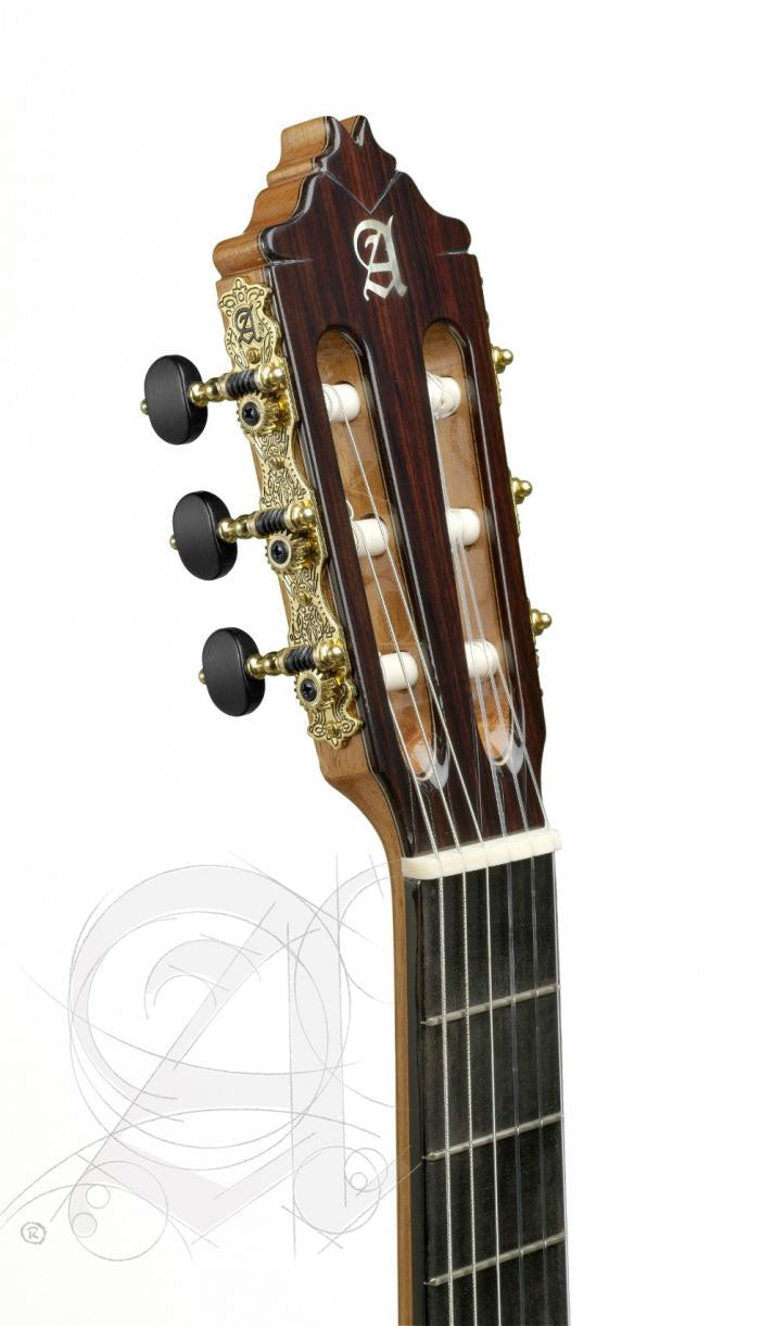 Concert 9P + 9557 Case