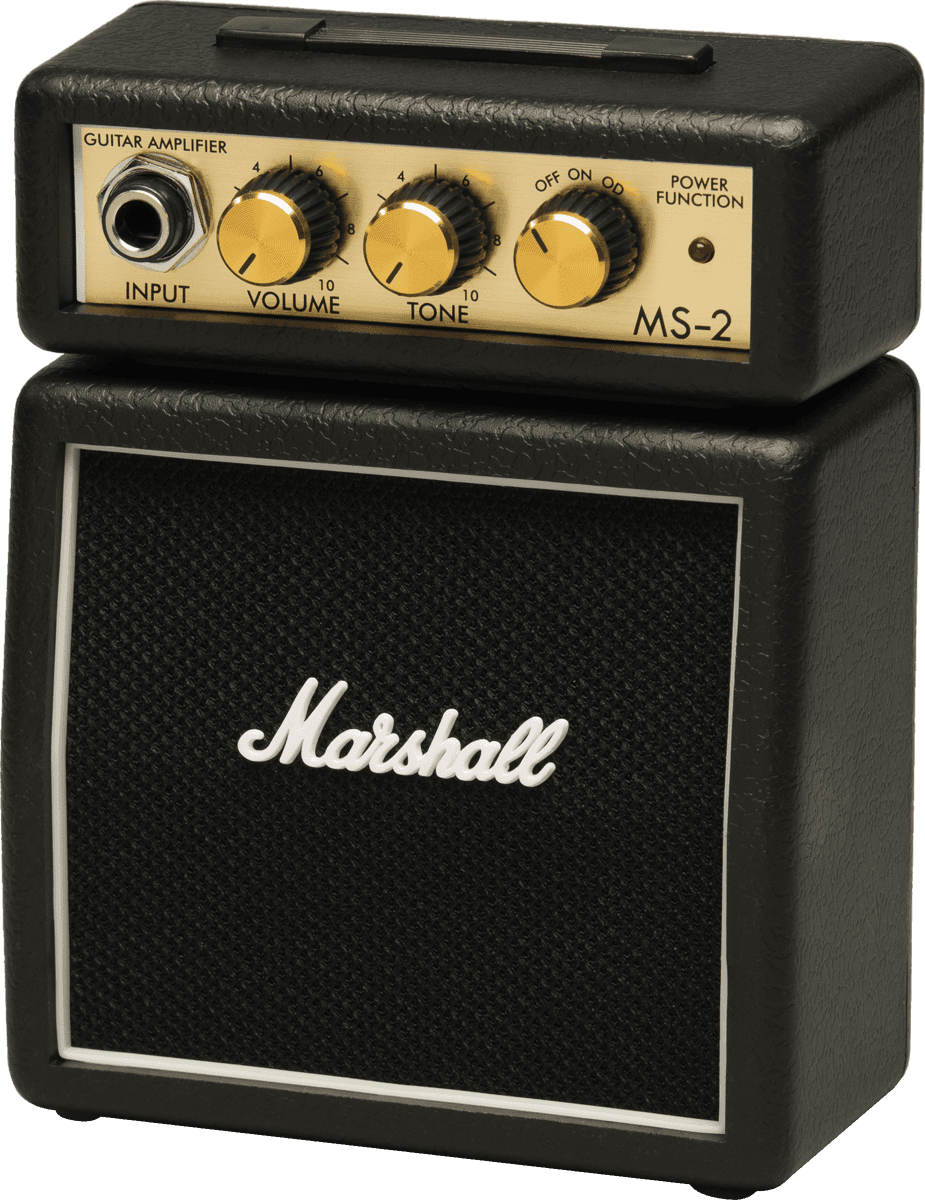 Mini MS2