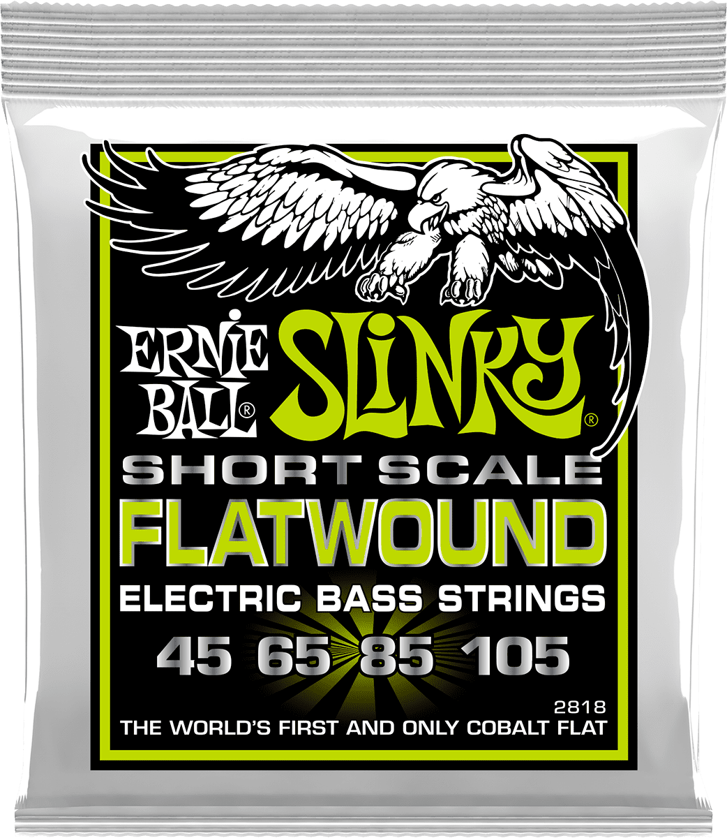 2818 Filet Plat Regular Slinky Flatwound Short Scale 45-105