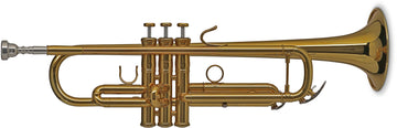 Vision TR172 Sib Laccato
