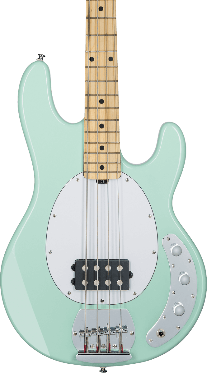 Stingray In Mint Green