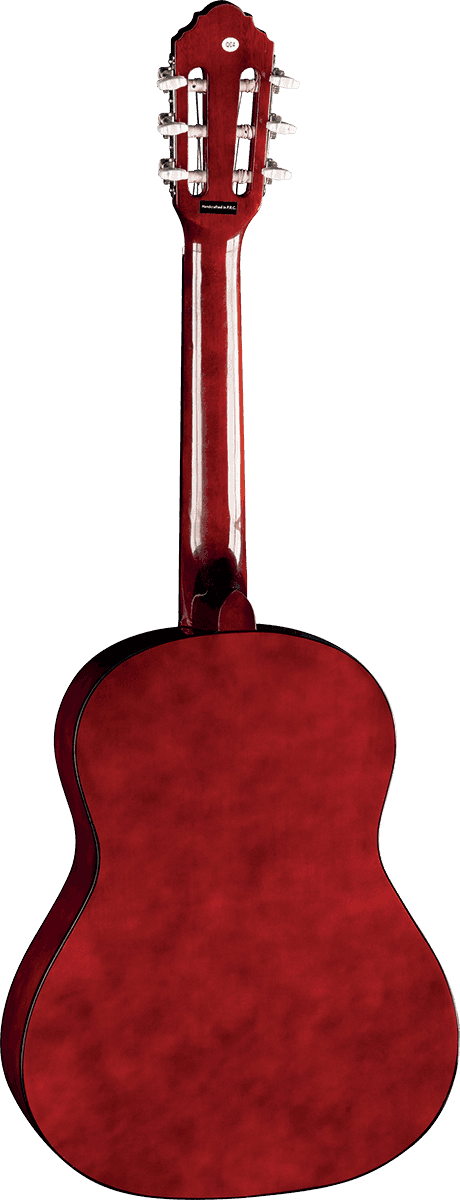 CS-5 3/4 Sunburst + Housse