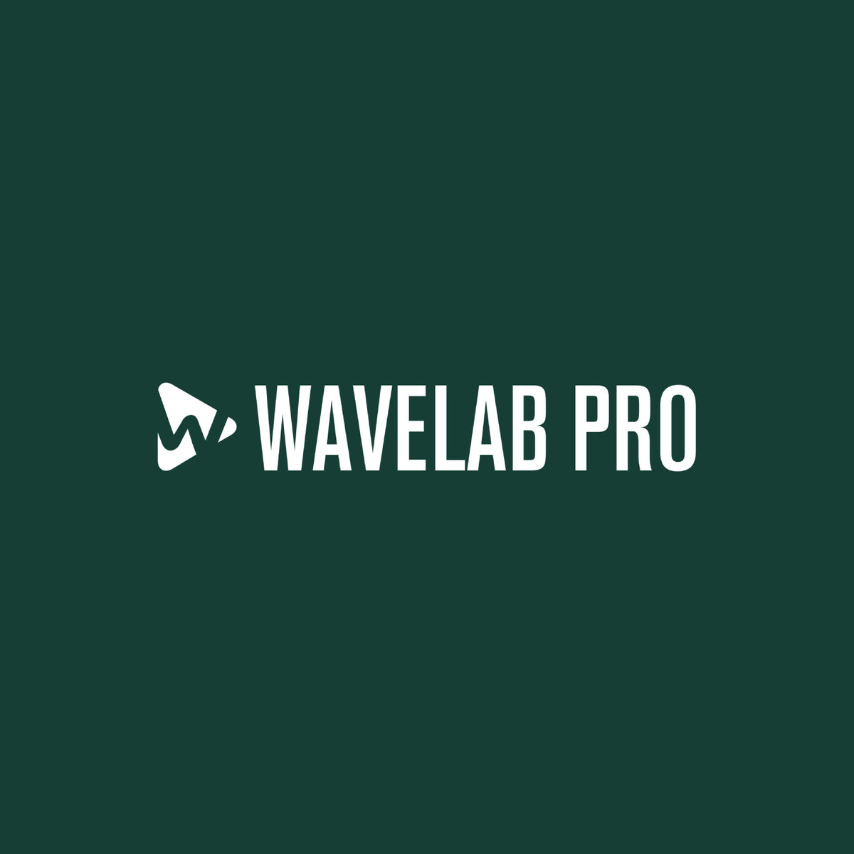 Steinberg Wavelab Pro 13