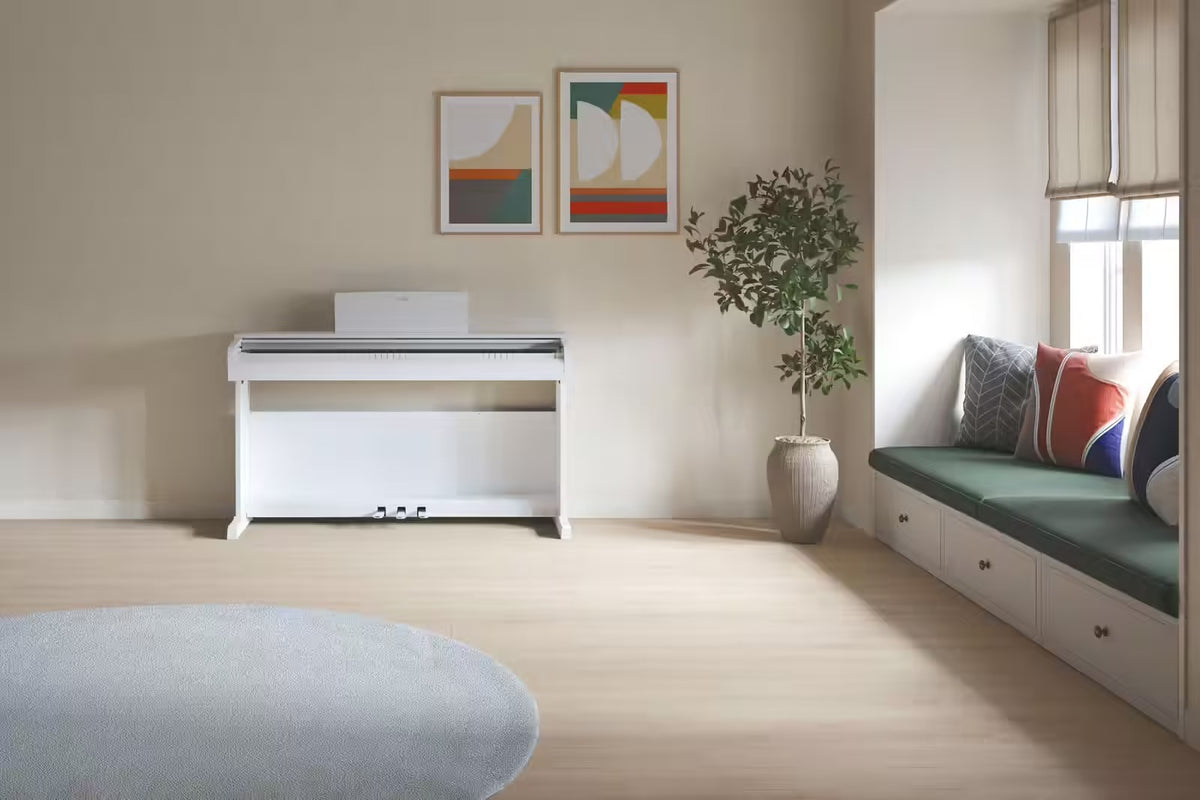 YDP-146 Blanc