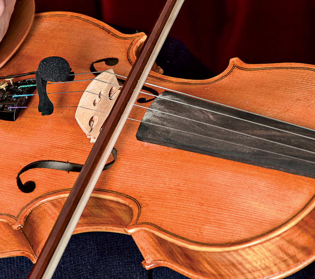 VL21C Lanen Violino - Viola