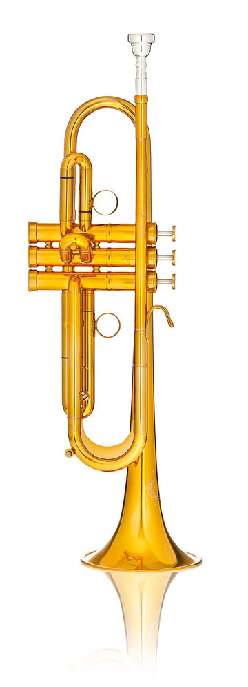 MBX2 Prestige Sib Vernie Dorée - BSMBX2LR-8-0D