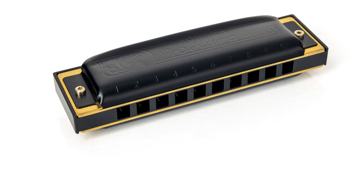 DIATONIC 562/20 MS PRO HARP 10 HOLES B SI
