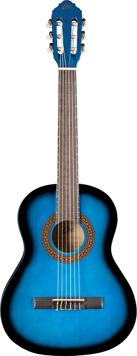 CS-5 3/4 Blue Burst + Housse