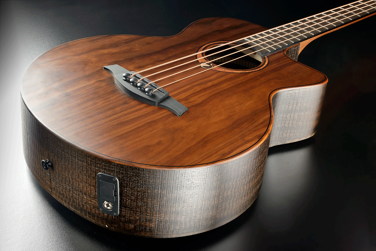 Sauvage Elektroakustischer Bass Ctw