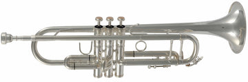 TP500S - Sib Argentata