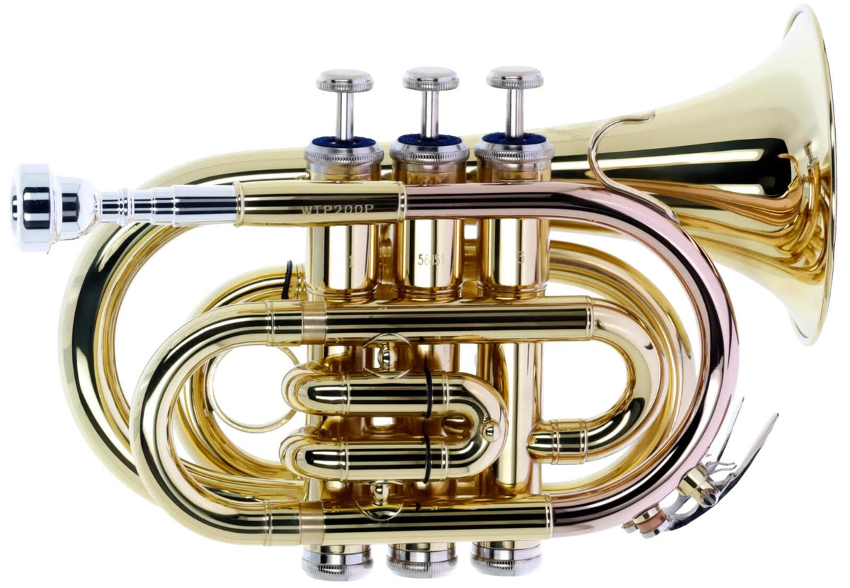 Woodbrass WTP200P - Si B Verni