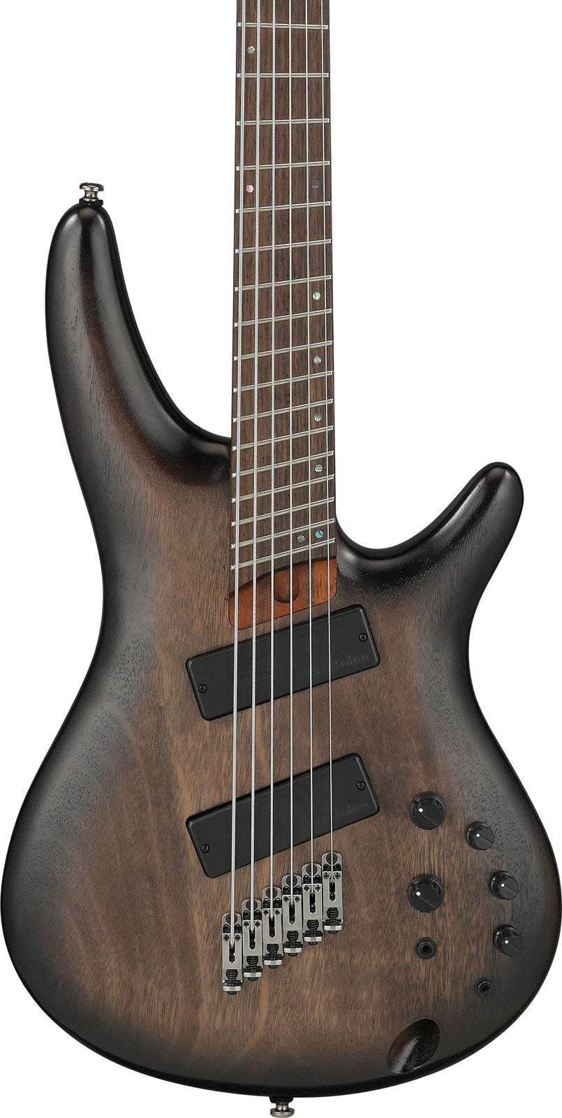 SRC6MS-BLL Schwarz gebeizter Burst Bass Workshop