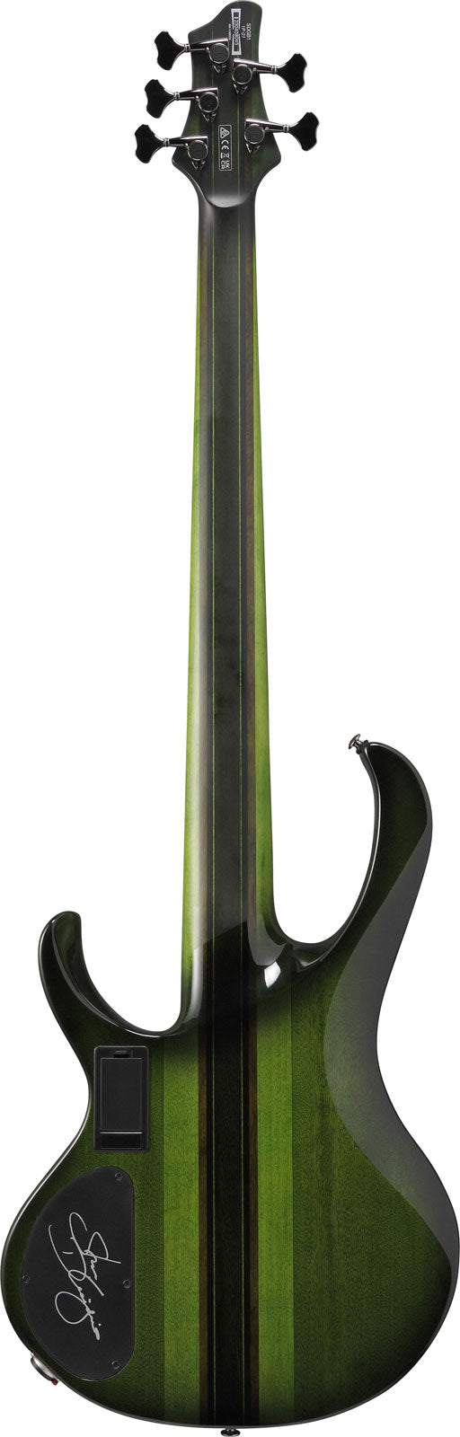 SDGB1-DMT Burst muschio scuro Signature Steve Dirgio
