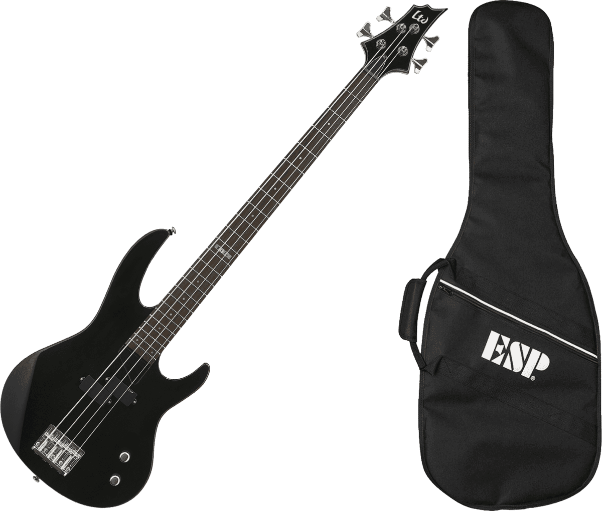 Basses électriques Ltd