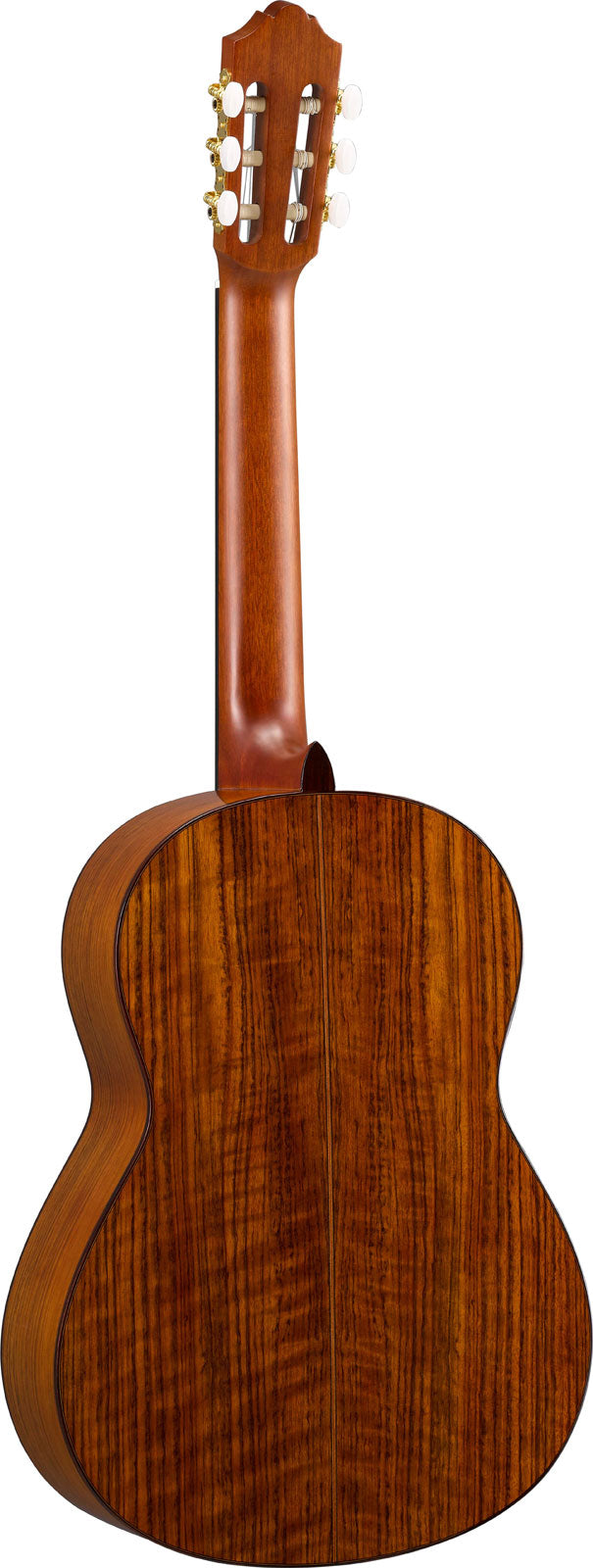 cg-ta transacoustic natural