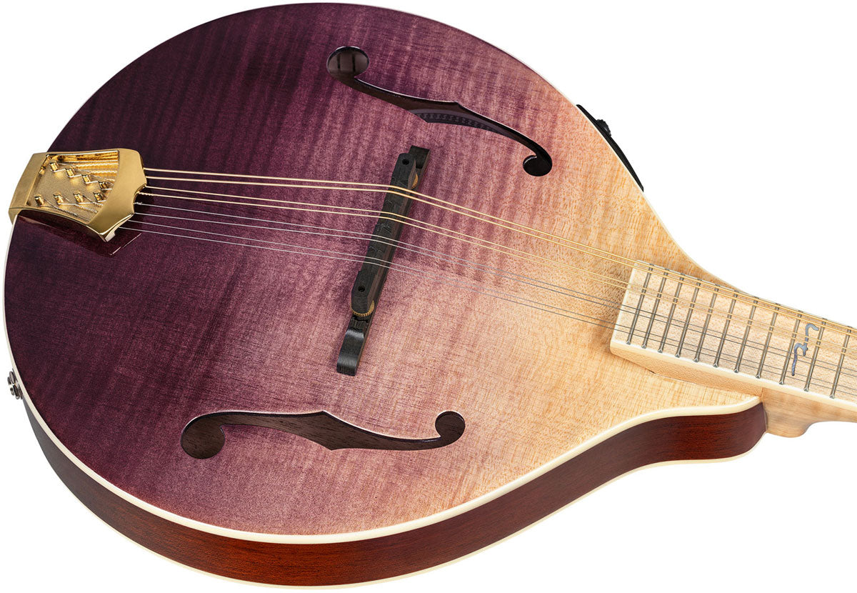 Americana A-Style-Mandoline + Croco-Lederkoffer